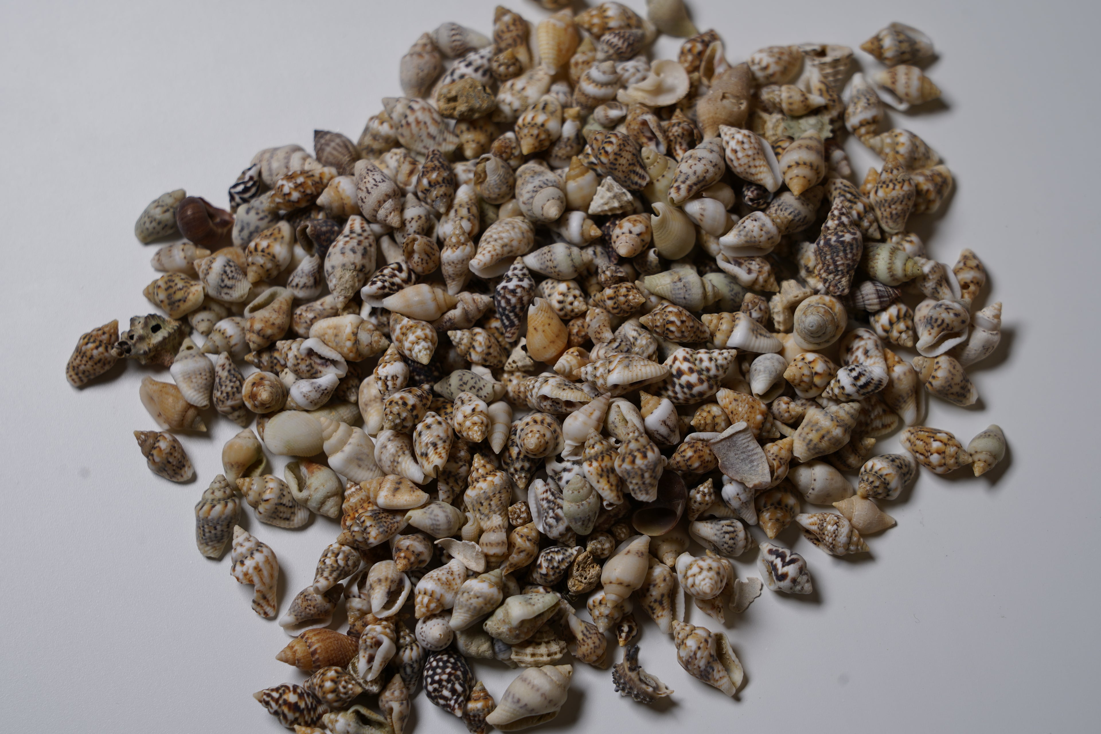 Mermaid Trinkets DIY Frame Kit